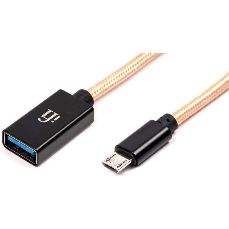 iFi micro OTG cable