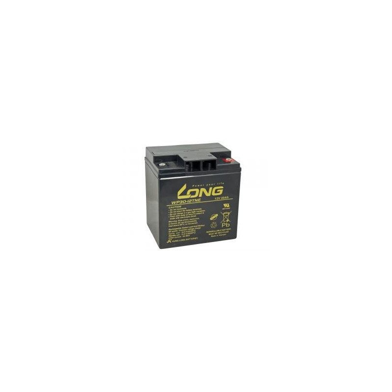 LONG baterie 12V 30Ah M6 DeepCycle (WP30-12TNE)