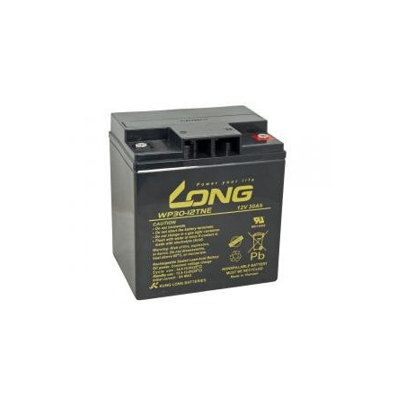 LONG baterie 12V 30Ah M6 DeepCycle (WP30-12TNE)