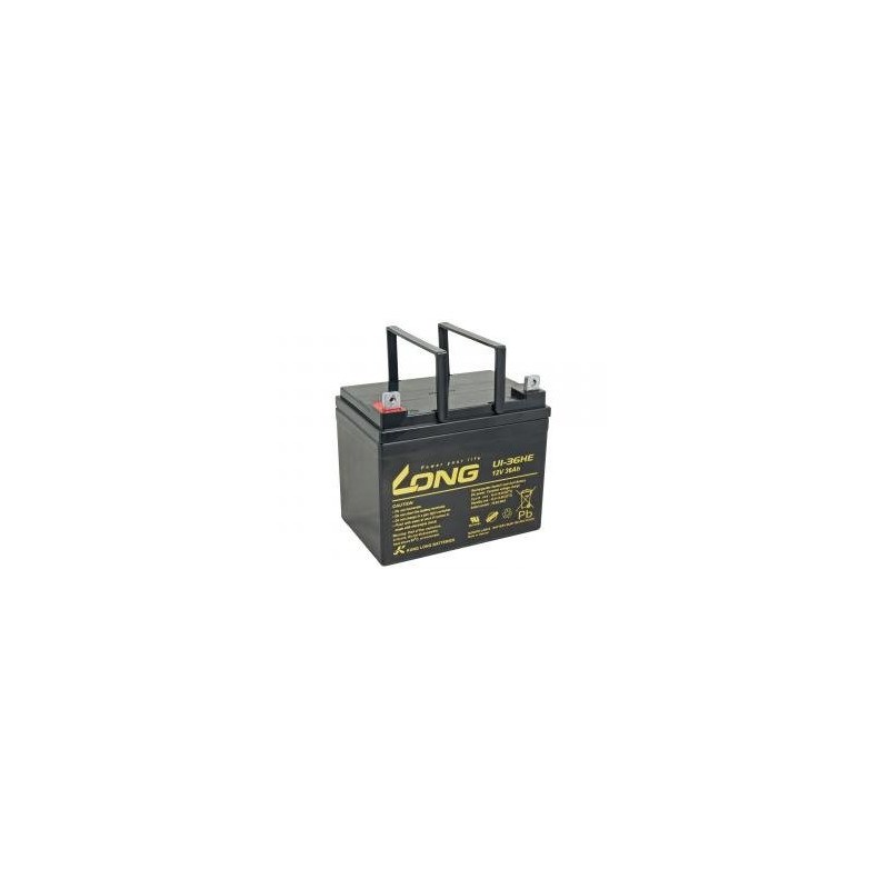 LONG baterie 12V 36Ah F4 DeepCycle (U1-36HE)