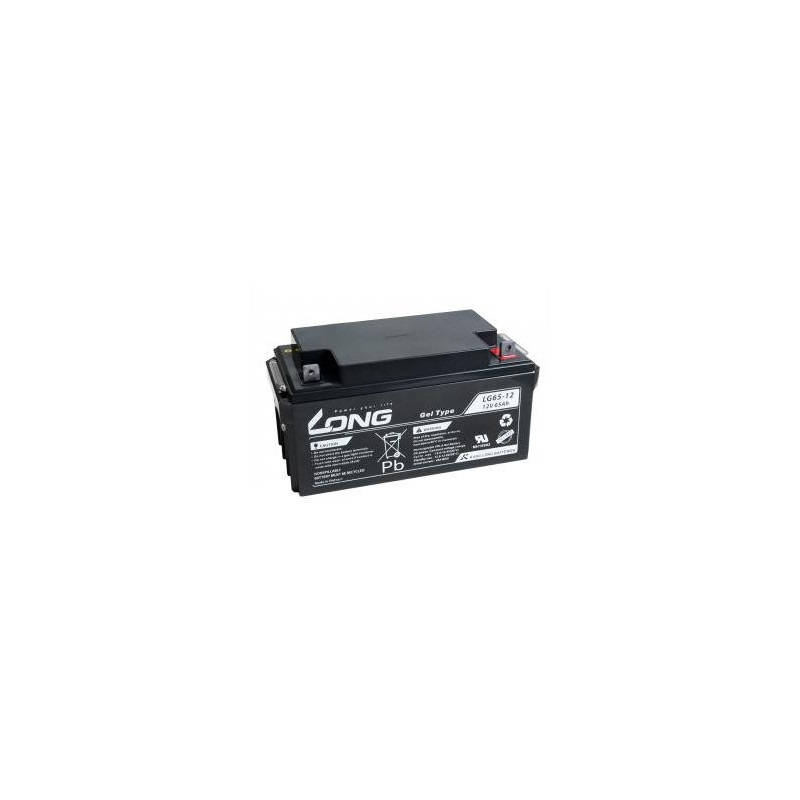 LONG baterie 12V 65Ah F4 DeepCycle GEL 10 let (LG65-12)