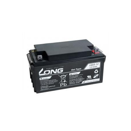 LONG baterie 12V 65Ah F4 DeepCycle GEL 10 let (LG65-12)