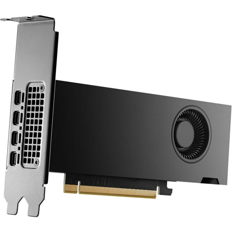 HP NVIDIA RTX 2000 Ada 16 GB 4x mDP Graphics