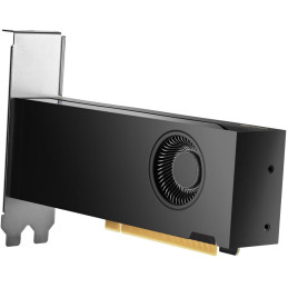 HP NVIDIA RTX 2000 Ada 16 GB 4x mDP Graphics