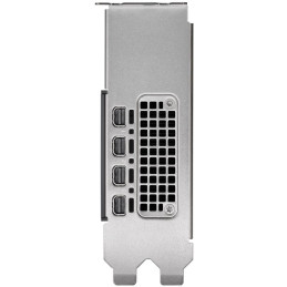 HP NVIDIA RTX 2000 Ada 16 GB 4x mDP Graphics