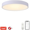 POŠKOZENÝ OBAL - IMMAX NEO RONDATE SLIM SMART stropní svítidlo 80 x 7cm 65W bílé, Zigbee 3.0, TUYA