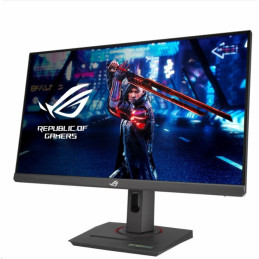 ASUS Monitor eSports GamingXG259QNS, 25", IPS, 1920x1080, 16:9, 0,3ms, 400cd, HDMI, DP, USB Hub, Freesync, 380Hz