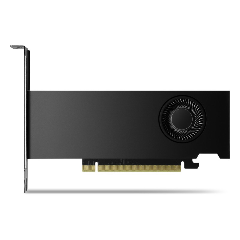 HP NVIDIA RTX 2000 Ada/16GB/GDDR6