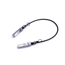 Lanview SFP+ 10 Gbps Direct Attach Passive Cable, 1m, Compatible with Netgear AXC761