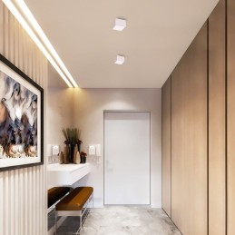 IMMAX NEO sada 2x CANTO SMART stropní svítidlo  15x15cm 12W bílé Zigbee 3.0 + DO, TUYA