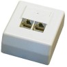 DATACOM Datová zásuvka STP CAT5E 2xRJ45 na omítku 45st. bílá