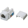 DATACOM Keystone RJ45 UTP CAT5E (DUAL) MINI weiß