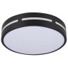 IMMAX NEO LITE PERFECTO SMART ceiling light circle 30cm, 24W black TUYA Wi-Fi