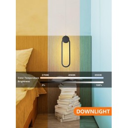 IMMAX NEO LITE OVALE SMART závěsné svítidlo černé 40x12cm 22W s podporou BEACON, Wi-Fi, TUYA