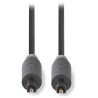 NEDIS optisches Audiokabel / TosLink-Stecker - TosLink-Stecker / anthrazit / Box / 2m