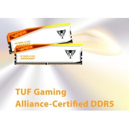 PATRIOT VIPER ELITE 5 TUF GAMING RGB HS 48GB DDR5 6000MT/s / DIMM / CL36 / 1,35V / Kit 2x 24GB