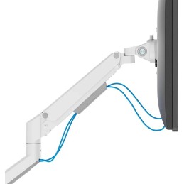 Neomounts  DS70-250WH1 Neomounts NEXT Slim Desk Mount, single display (topfix clamp/grommet), white