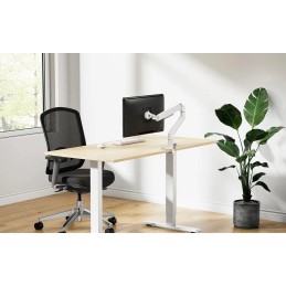 Neomounts  DS70-250WH1 Neomounts NEXT Slim Desk Mount, single display (topfix clamp/grommet), white