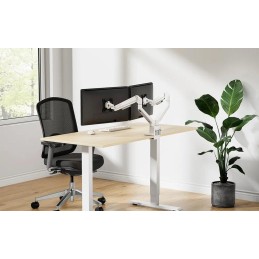 Neomounts DS70-250WH2 Neomounts NEXT Slim Desk Mount, double display (topfix clamp/grommet), white