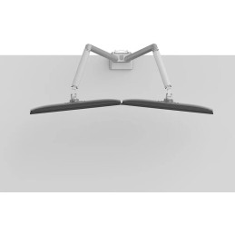 Neomounts DS70-250SL2 Neomounts NEXT Slim Desk Mount, double display (topfix clamp/grommet), silver