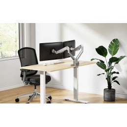 Neomounts DS70-250SL2 Neomounts NEXT Slim Desk Mount, double display (topfix clamp/grommet), silver