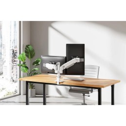 Neomounts DS65S-950WH2  Neomounts NEXT One SL Desk Mount, double display, sliding VESA (topfix clamp/grommet), white