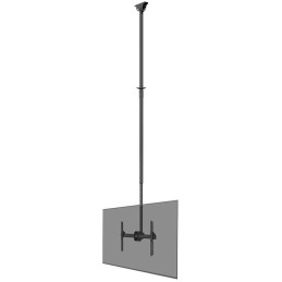 Neomounts CL35-440BL16XL  Flat Screen Ceiling Mount (Height: 250-300 cm)