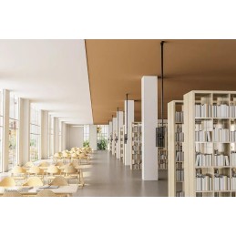 Neomounts CL35-440BL16XL  Flat Screen Ceiling Mount (Height: 250-300 cm)