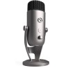 AROZZI microphone COLONNA/ silver