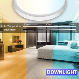 IMMAX NEO LITE TUDO SMART stropní svítidlo RGB podsvícení 60cm 65W, s podporou BEACON, Wi-Fi, TUYA, bílé