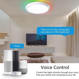 IMMAX NEO LITE TUDO SMART stropní svítidlo RGB podsvícení 60cm 65W, s podporou BEACON, Wi-Fi, TUYA, bílé