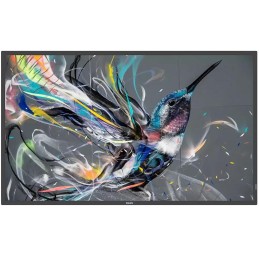 PHILIPS displej 43" 43BDL3511Q / Q-Line/ IPS/ 4K UHD/ 400cd/ 8 ms /4000:1 / 18/7 /HDMI, DVI, VGA, RS232, RJ45, USB