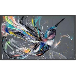 PHILIPS displej 64,5" 65BDL3511Q / Q-Line/ IPS/ 4K UHD/ 60Hz/ 8ms/ 1300:1/ 18/7 / HDMI, DVI, VGA, RS232, RJ45, USB