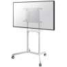 Neomounts NS-M1250WHITE / Mobilny stojak podłogowy na ekran płaski (wysokość: 160 cm) / Biały