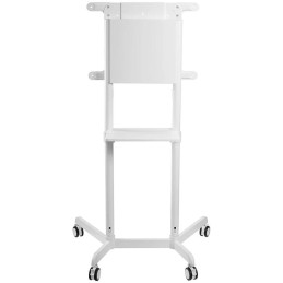 Neomounts NS-M1250WHITE / Mobile Flat Screen Floor Stand (height: 160 cm) / White