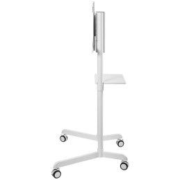 Neomounts NS-M1250WHITE / Mobile Flat Screen Floor Stand (height: 160 cm) / White