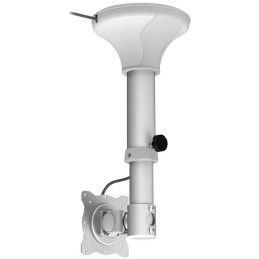 Neomounts  FPMA-C025SILVER / Flat Screen Ceiling Mount (Height: 37-47 cm) / Silver