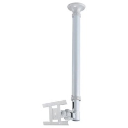 Neomounts  FPMA-C100SILVER / Flat Screen Ceiling Mount (Height: 79-129 cm) / Silver