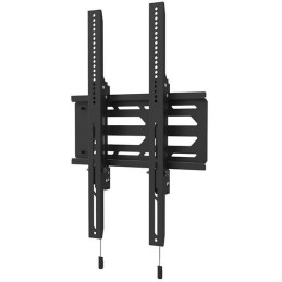 Neomounts Select  WL30S-950BL19 / Screen Wall Mount (fixed, VESA 100X100-1500X900) / Black