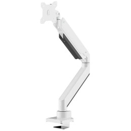 Neomounts Select NM-D775WHITEPLUS/Držák zakřiv. displeje/na stůl/10-49"/svorka/VESA 100X100/nosn. 10kg/plyn. píst/bilý