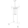 Neomounts AFL-875WH1/Camera holder and multimedia shelf for FL55-875WH1 and WL55-875WH1/load capacity 9kg/Logitech ad./white