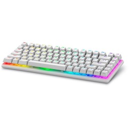 DELL klávesnice Alienware Pro Wireless Gaming Keyboard / US/ Int./ mezinár./ (Lunar Light)