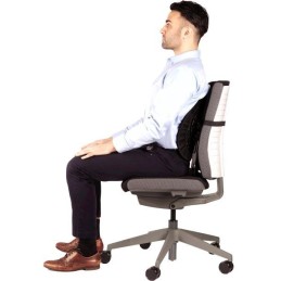 FELLOWES zádová opěrka Back Angel