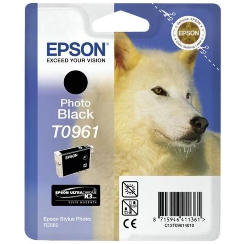 Epson inkoustová náplň/ C13T09614010/ Stylus 2880/ Foto