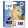 Epson ink cartridge/ C13T09674010/ Stylus 2880/ Light Black