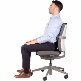 FELLOWES bederní opěrka na židli I-Spire šedá