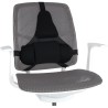 FELLOWES backrest on the chair Profesional