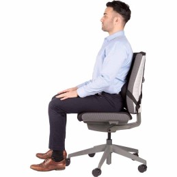 FELLOWES zádová opěrka na židli Profesional