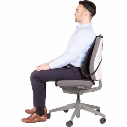 FELLOWES zádová opěrka na židli Profesional síťovaná