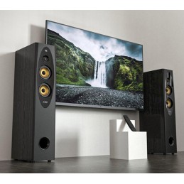 FENDA F&D repro T-60X Pro/ 2.0/ 120W/ černé/ dřevěné/ BT5.3/ NFC/ USB/ optický vstup/ dálkové ovládání/Karaoke